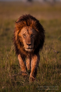 Male warking towards photographer at sunrise