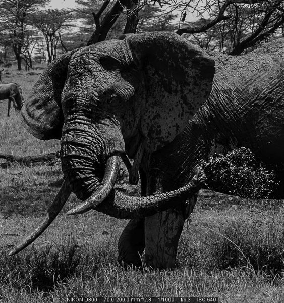 RichCostin_AfricaLiveBlog_2013b_07___0034.jpg RichCostin AfricaLiveBlog 2013b 07 0034