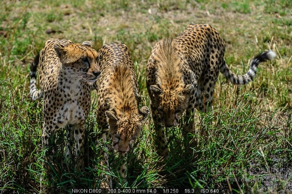 RichCostin_AfricaLiveBlog_2013b_07___0036.jpg RichCostin AfricaLiveBlog 2013b 07 0036