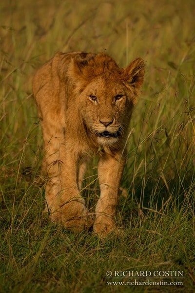 R Costin Africa Live blog 2014 day 01 03