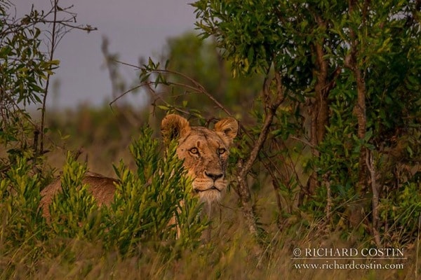 R Costin Africa Live blog 2014 day 01 06