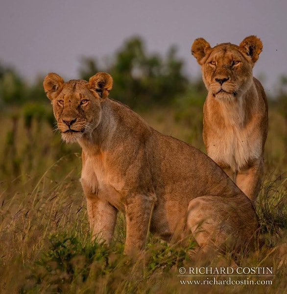 R Costin Africa Live blog 2014 day 01 07