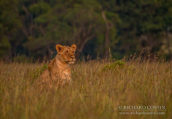 R Costin Africa Live blog 2014 day 01 08