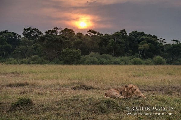 R Costin Africa Live blog 2014 day 01 09