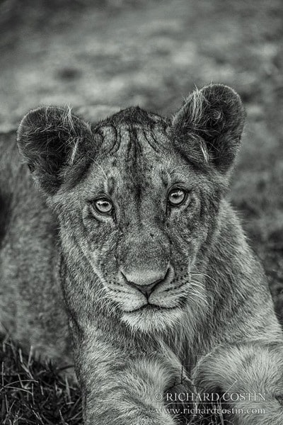 R Costin Africa Live blog 2014 day 01 13