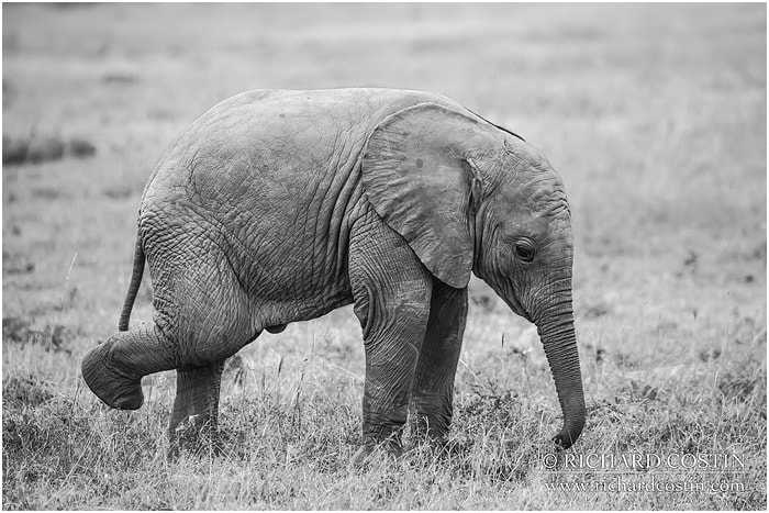 RichCostin AfricaLiveBlog 2014a 02 0015