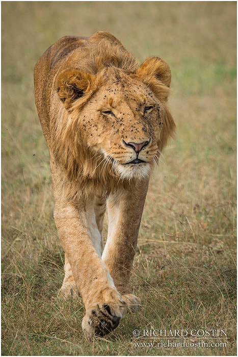 RichCostin AfricaLiveBlog 2014a 03 0014
