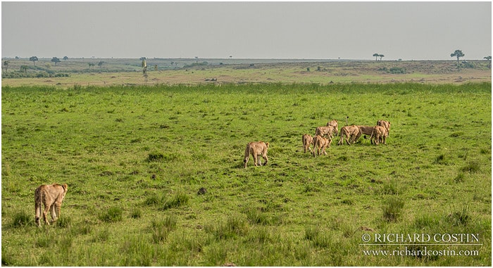 RichCostin AfricaLiveBlog 2014a 03 0015