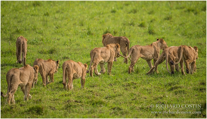 RichCostin AfricaLiveBlog 2014a 03 0016