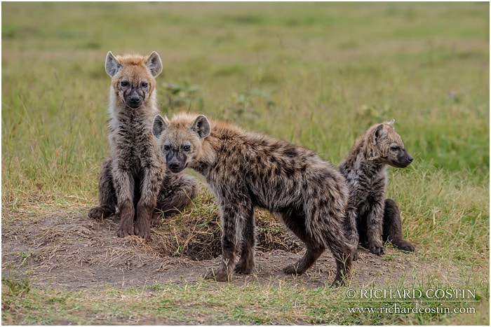 RichCostin_AfricaLiveBlog_2014a_04___0001