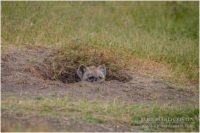 RichCostin_AfricaLiveBlog_2014a_04___0002