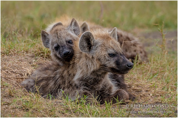 RichCostin_AfricaLiveBlog_2014a_04___0003