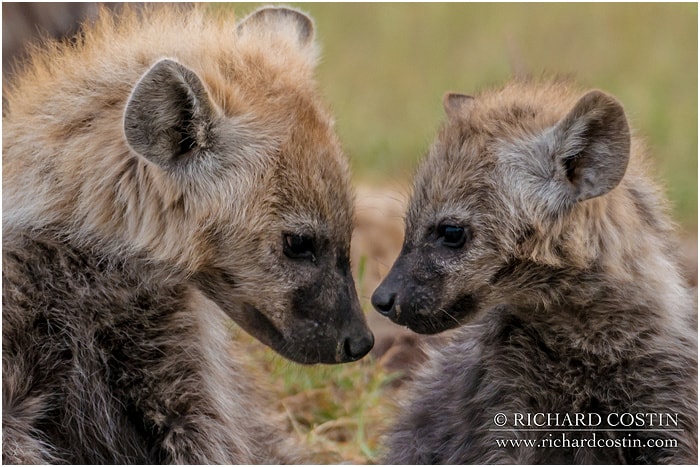 RichCostin_AfricaLiveBlog_2014a_04___0004