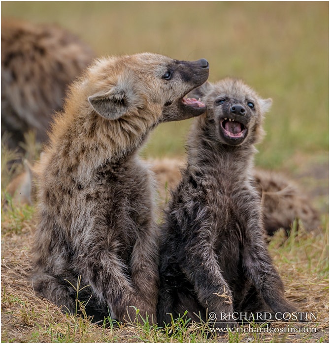 RichCostin_AfricaLiveBlog_2014a_04___0005