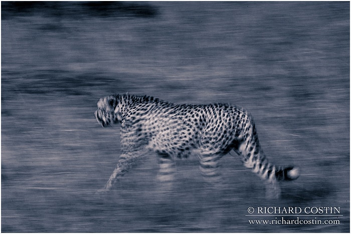 RichCostin_AfricaLiveBlog_2014a_04___0011