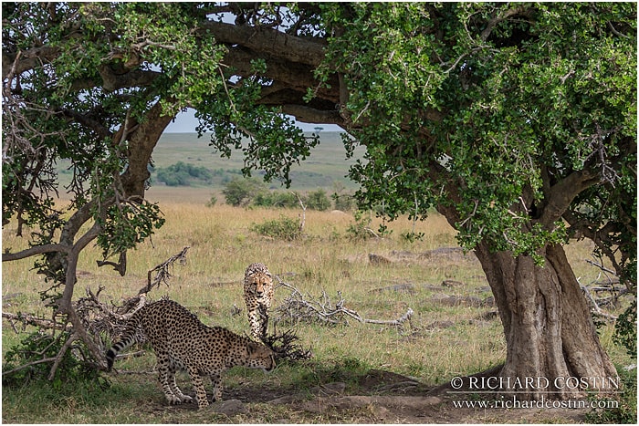 RichCostin_AfricaLiveBlog_2014a_04___0012
