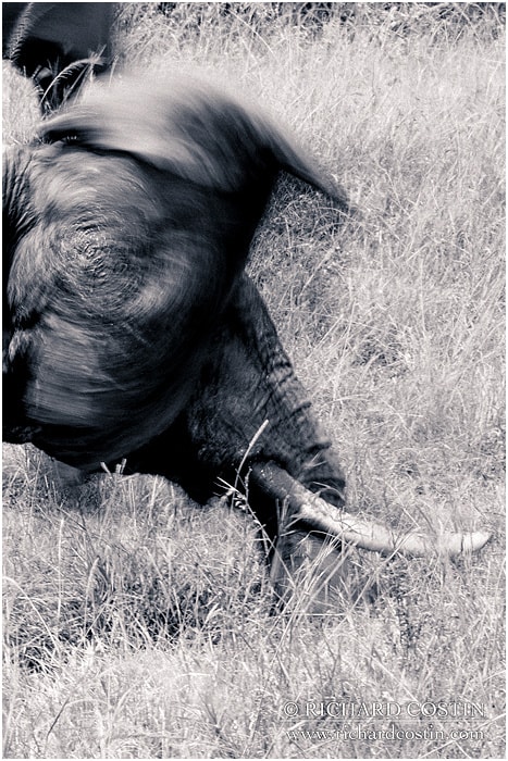 RichCostin_AfricaLiveBlog_2014a_04___0014