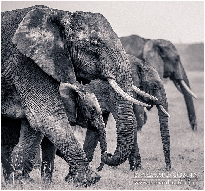 RichCostin_AfricaLiveBlog_2014a_04___0018