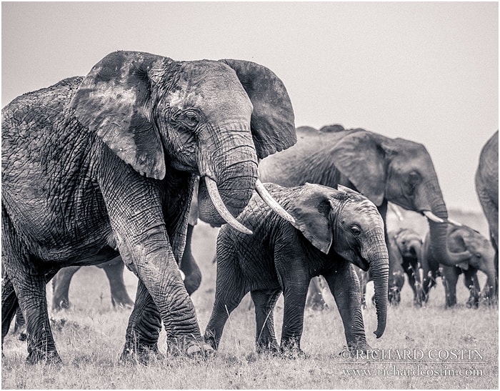 RichCostin_AfricaLiveBlog_2014a_04___0019