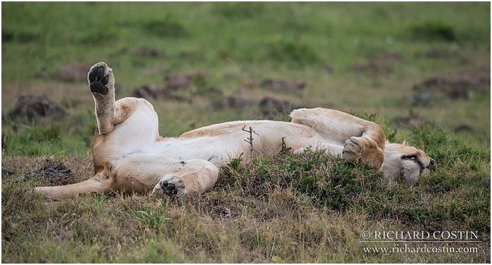 RichCostin_AfricaLiveBlog_2014a_04___0020