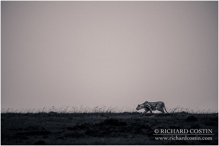 RichCostin_AfricaLiveBlog_2014a_04___0022