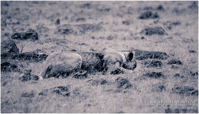 RichCostin_AfricaLiveBlog_2014a_04___0023