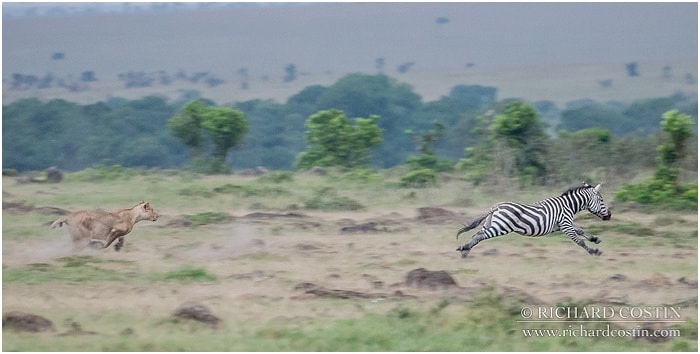 RichCostin_AfricaLiveBlog_2014a_04___0024