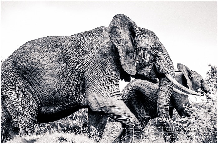 RichCostin_AfricaLiveBlog_2014a_04___0025