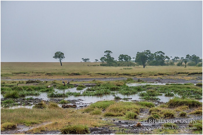 RichCostin_AfricaLiveBlog_2014a_06___0001