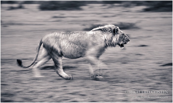 RichCostin_AfricaLiveBlog_2014a_07___0001