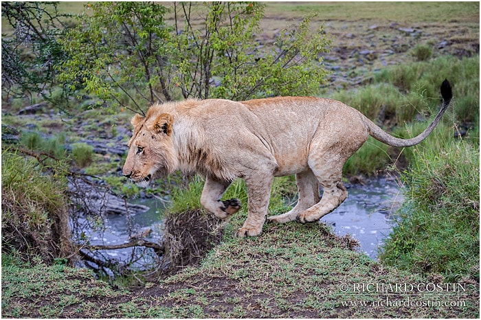 RichCostin_AfricaLiveBlog_2014a_07___0002