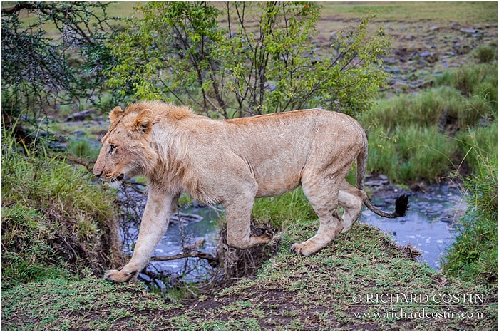 RichCostin_AfricaLiveBlog_2014a_07___0003