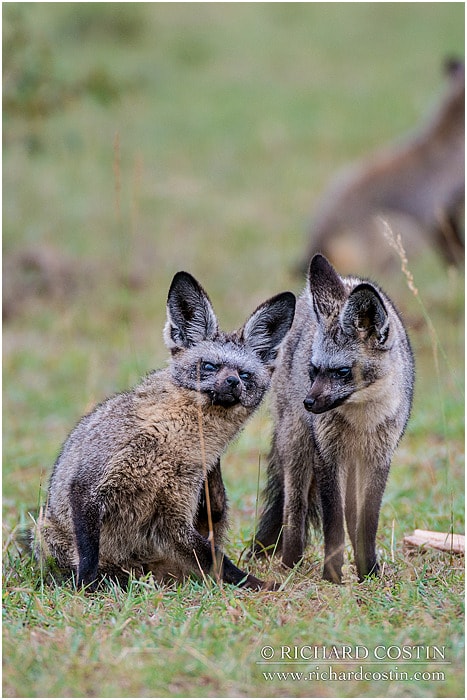 RichCostin_AfricaLiveBlog_2014a_07___0005