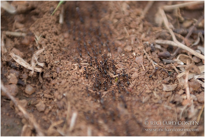 RichCostin_AfricaLiveBlog_2014a_07___0007