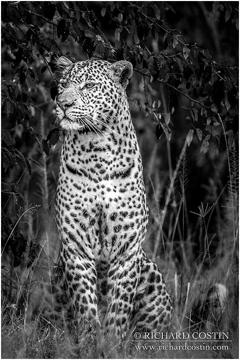 RichCostin_AfricaLiveBlog_2014a_07___0009