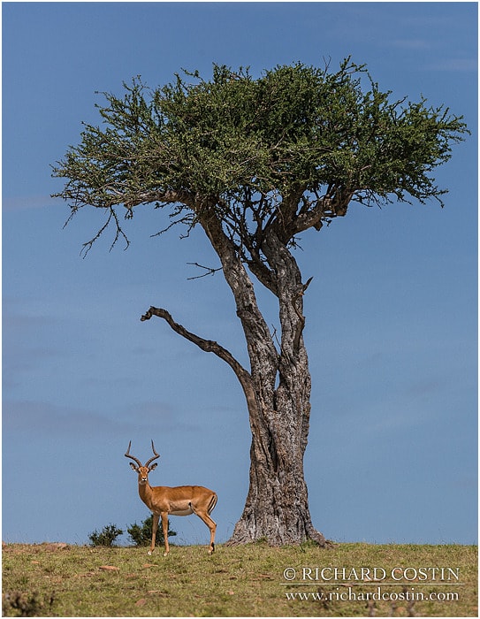 RichCostin_AfricaLiveBlog_2014a_07___0016