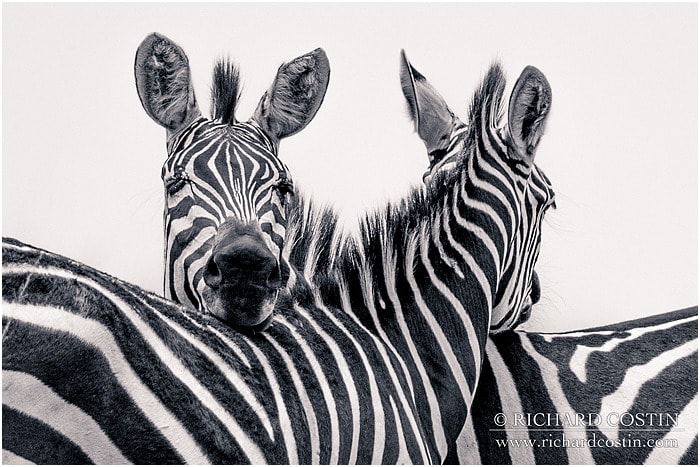 RichCostin_AfricaLiveBlog_2014a_07___0017