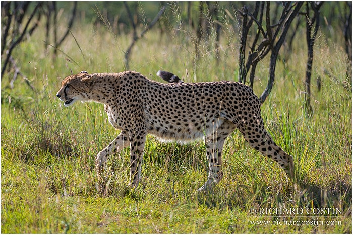 RichCostin_AfricaLiveBlog_2014a_07___0020