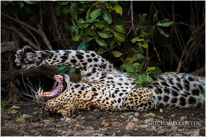 RichCostin_AfricaLiveBlog_2014a_07___0021