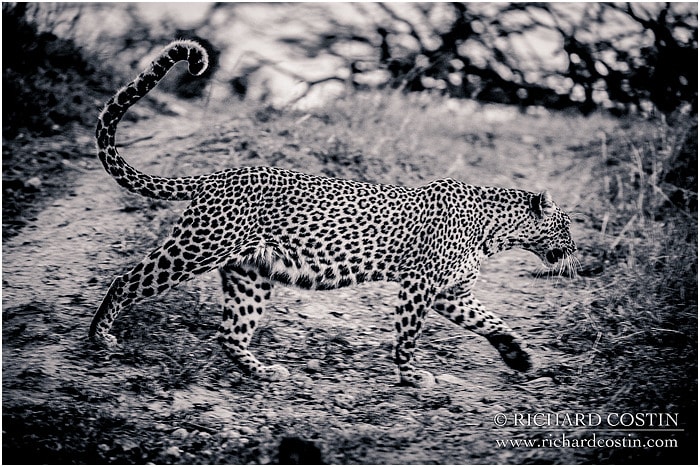 RichCostin_AfricaLiveBlog_2014a_07___0023