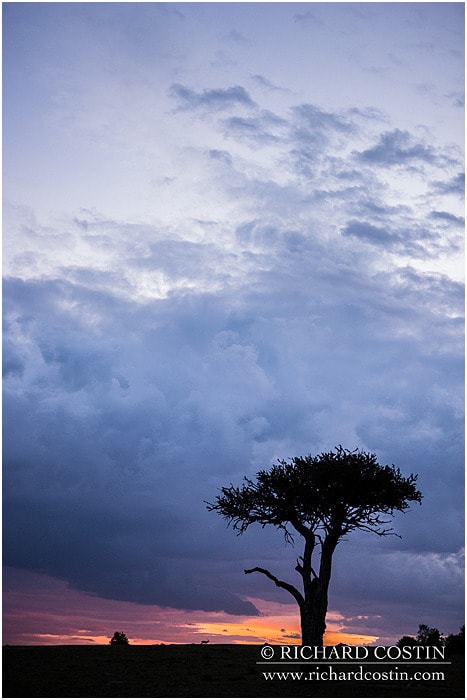 RichCostin_AfricaLiveBlog_2014a_07___0024