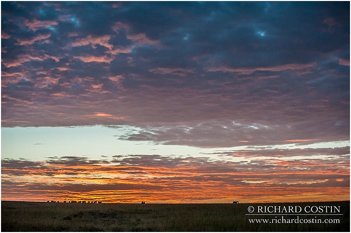Africa Life Photography Workshop diary