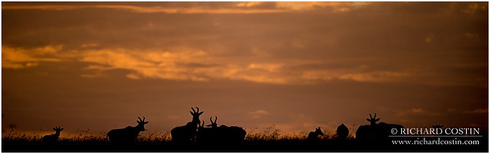 RichCostin_AfricaLiveBlog_2014a_08___0026