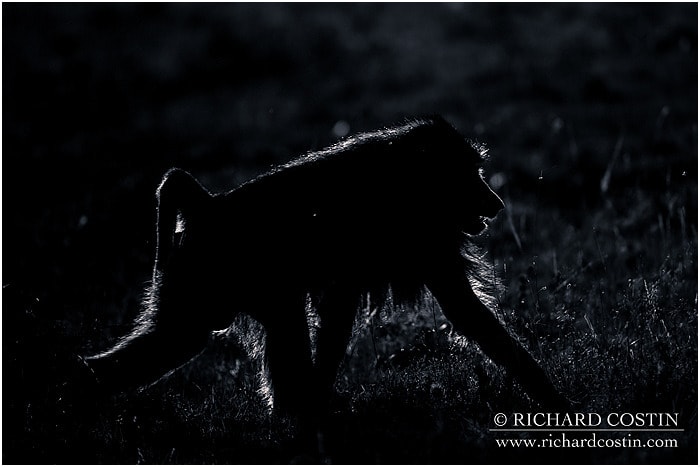 RichCostin_AfricaLiveBlog_2014a_08___0038