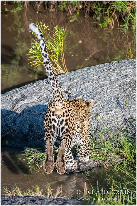 RichCostin_AfricaLiveBlog_2014a_08___0039