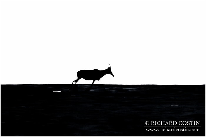 RichCostin_AfricaLiveBlog_2014a_08___0040