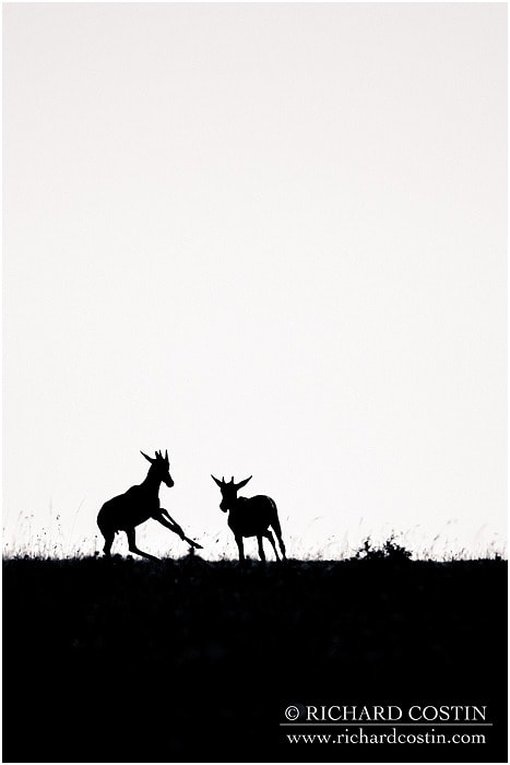 RichCostin_AfricaLiveBlog_2014a_08___0041