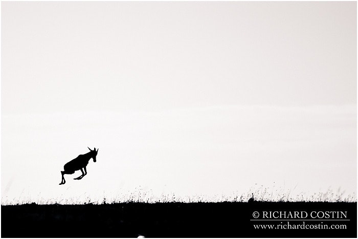 RichCostin_AfricaLiveBlog_2014a_08___0042