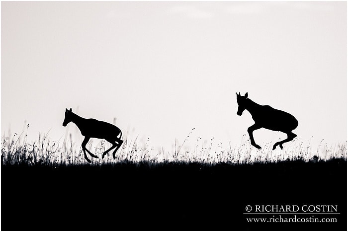 RichCostin_AfricaLiveBlog_2014a_08___0043