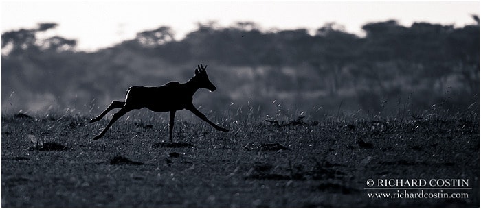 RichCostin_AfricaLiveBlog_2014a_08___0044